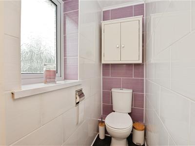 Picture 23